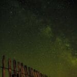 almanyadan gelen mektuplar ne kadar surede elimizde olur