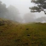 almanyadan turkiyeye kargom ne zaman varir 2025 guncel bi