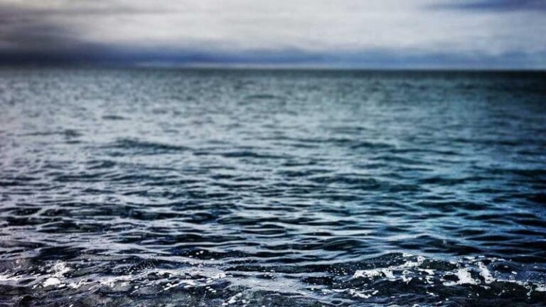 almanyadan turkiyeye kargonuzu guvenle gondermenin yollari