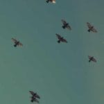 almanyadan turkiyeye ups kargo kolay ve hizli bir sekilde