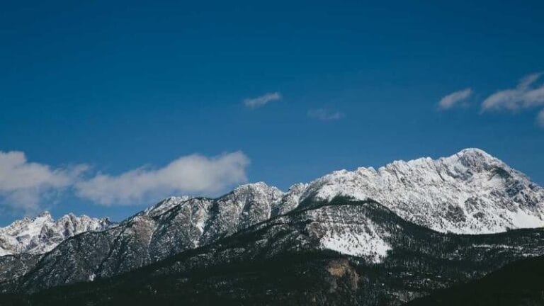 amerikadan gelen paranizin yolculugu kargoyla para gonderi