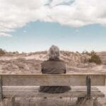 amerikadan turkiyeye kargo bir uzmandan pratik bilgiler v