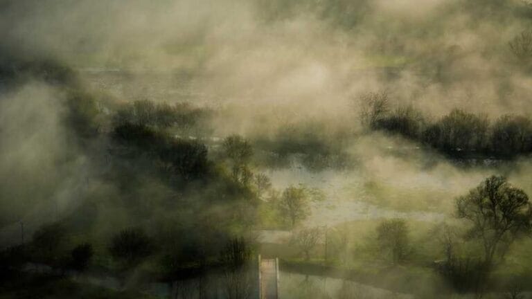 arubaya numune gondermek gumruk labirentinde yol bulmak