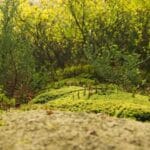 bolivyaya kargo gondermenin sirlari okyanussiz bir ulkeye