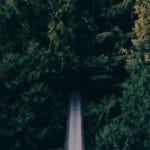 cek cumhuriyetine kargo otomotiv devlerinin kalbinde lojis