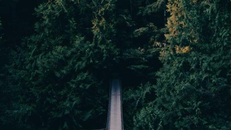 cek cumhuriyetine kargo otomotiv devlerinin kalbinde lojis