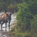 cenaze nakli ucsuz bucaksiz bir dunyada sevdiklerinizi guve