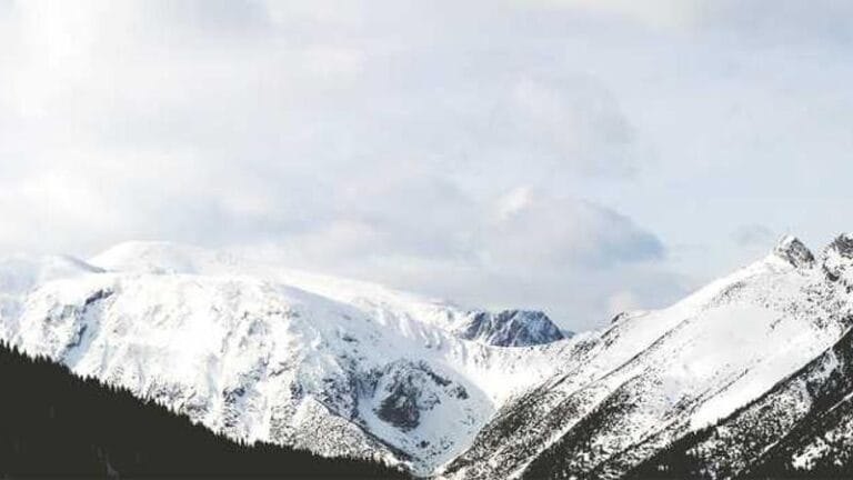 cibutiye kargo gondermek 2025 ve otesi icin tam bir rehber