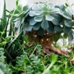 cinden turkiyeye kargo 2025 ucretleri ve karsilastirma