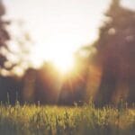 dhl ile almanyadan turkiyeye kargo ne kadar surede elinizd