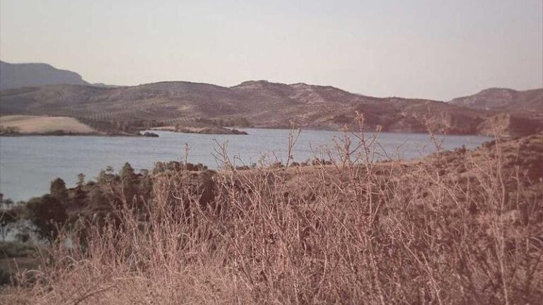 dominik cumhuriyetine kargo fiyatlar hizmetler ve kucuk b