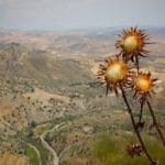 dubaiye ucak kargo hiz ve guvenilirligin dansi