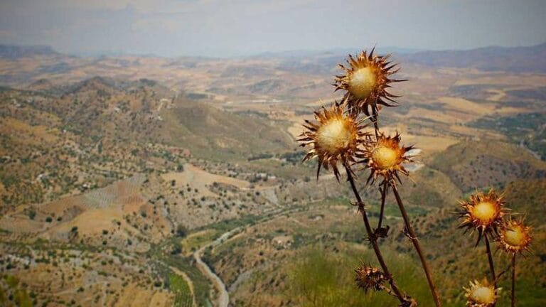 dubaiye ucak kargo hiz ve guvenilirligin dansi