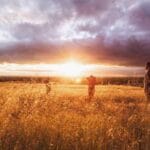 fasa kargo gondermek maliyetler sureler ve daha fazlasi