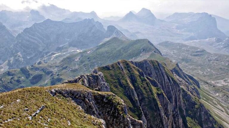 filistine kargo siyasi firtinalarin ortasinda insani bir k