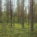 guney kibrisa kargo gonderme adanin gunesli kiyilarindaki