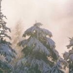 hava kargo paketleme ipuclari kargonuz guvenle ulassin