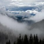 hava kargo takibi parsiyel mi komple mi iste sirri