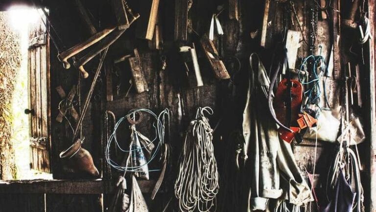 hollandadan turkiyeye kargo vergi ve gumruk islemlerinin