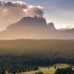 hollandaya kargo gonderirken nelere dikkat etmeli uzmanin