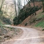 ilac gonderimi ucsuz bucaksiz dunyasinda yol bulmak