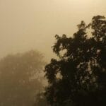 ingiltereden turkiyeye kargo bir uzmandan tavsiyeler