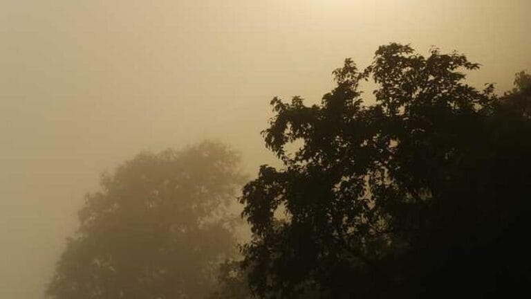 ingiltereden turkiyeye kargo bir uzmandan tavsiyeler