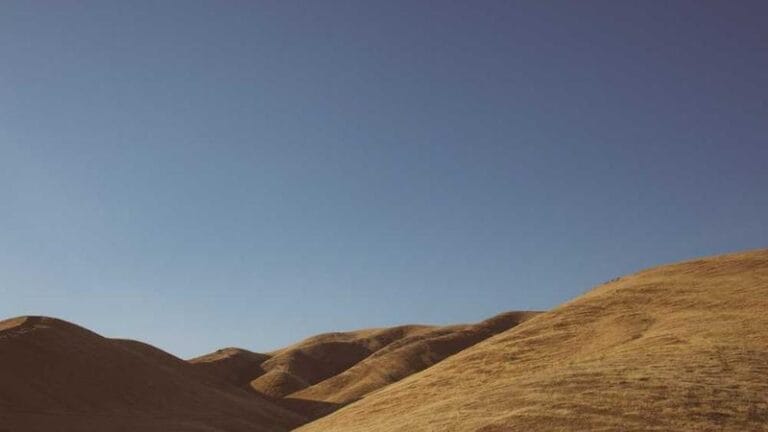 israile kargo teknoloji ve guvenligin dansi