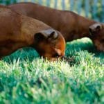 italyaya kargo gondermek 2025te fiyatlar hesaplama ve pu