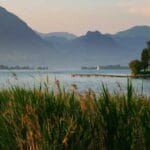 izlandaya kargo buzullarin uzerinden balik ve yesil enerji