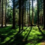 japon pazarina acilan kapi kalite ve hassas lojistik