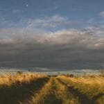 kambocyaya kargo tekstil ve turizm sektorunun lojistik dan