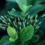 kanadaya kargo abd ile entegre lojistik ve sinir otesi tas