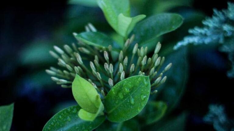 kanadaya kargo abd ile entegre lojistik ve sinir otesi tas