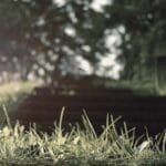 kazakistana kargo gondermek fiyatlar sureler ve daha fazl