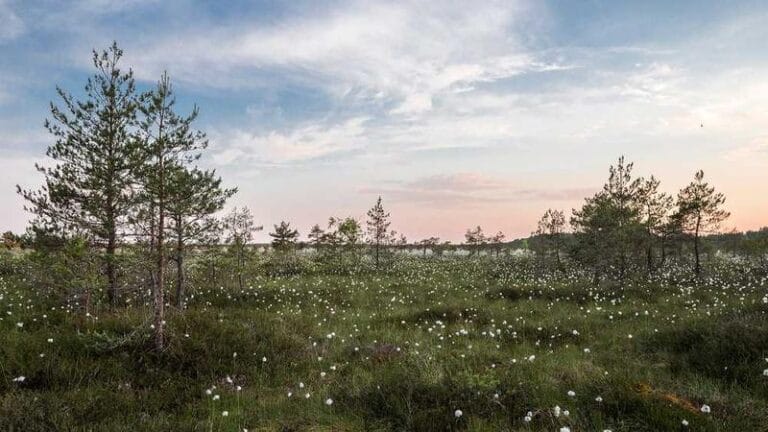 kolombiyaya kargo gondermek 2025 fiyatlar ve bilmeniz gere