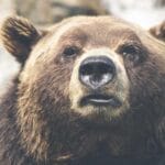 letonyaya kargo baltik lojistiginin kalbinde