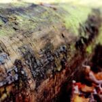 luksemburga kargo gondermek maliyetler sureler ve daha fa