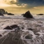 niueye kargo tropikal cennette lojistik labirenti