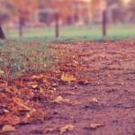 ozbekistana kargo gonderme puf noktalari ve guvenilir yoll