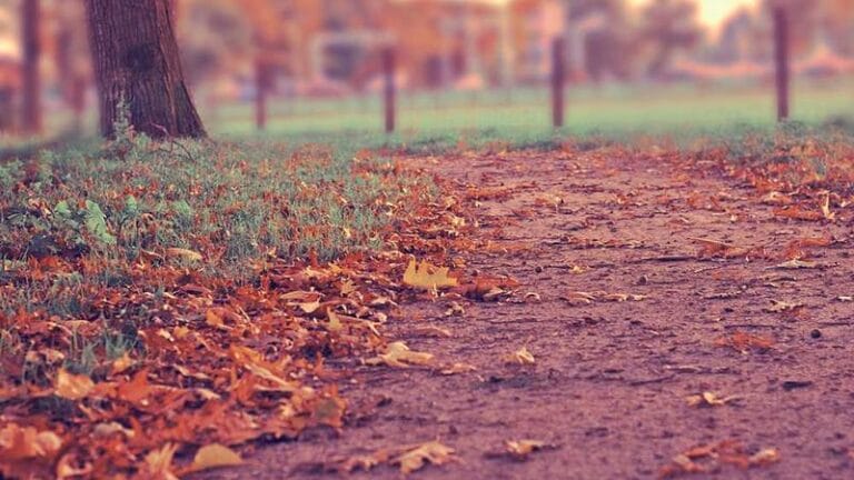 ozbekistana kargo gonderme puf noktalari ve guvenilir yoll