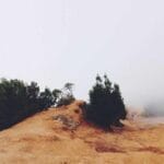 ptt kargo ile dunyaya acilan kapi yurtdisi gonderimleriniz