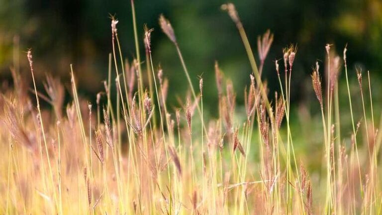 ptt yurtdisi kargo takibinizi kolaylastirin 2025 guncelleme