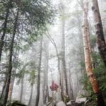 romanyaya kargo gonderirken nelere dikkat etmeliyim hizli