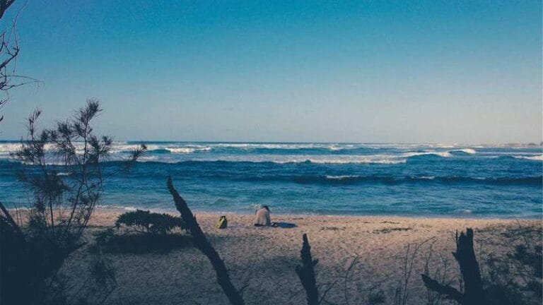 rusyaya kargo gondermek gumrukten gecmek icin puf noktalar