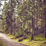 singapurdan hizli kargo en iyi rotayi bulmanin sirri