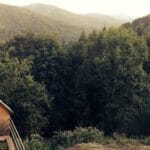 sirbistandan turkiyeye kargo gondermek hesapli ve hizli