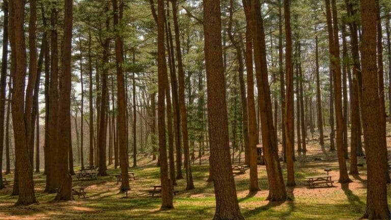 soguk zincir kargo mng ve ptt ile hassas tasimacilik