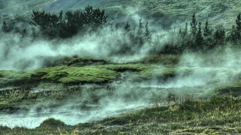 tanzanyaya kargo dogu afrika lojistiginin kalbi