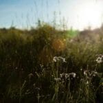 tayvana kargo gondermek 2025te kargo maceraniz icin tam b